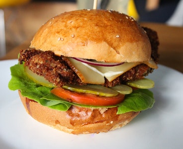 Terevez Burger Recipe