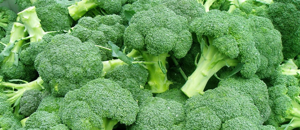 Brokkoli kelemi faydasi